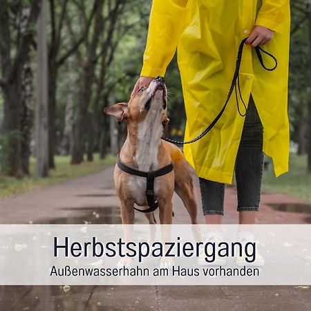 Ferienloft Sternenblick - Strandnah, Haustierfreundlich, Tolle Kueche, Optimal Fuer Workation, 4 Personen Steinberg  Bagian luar foto