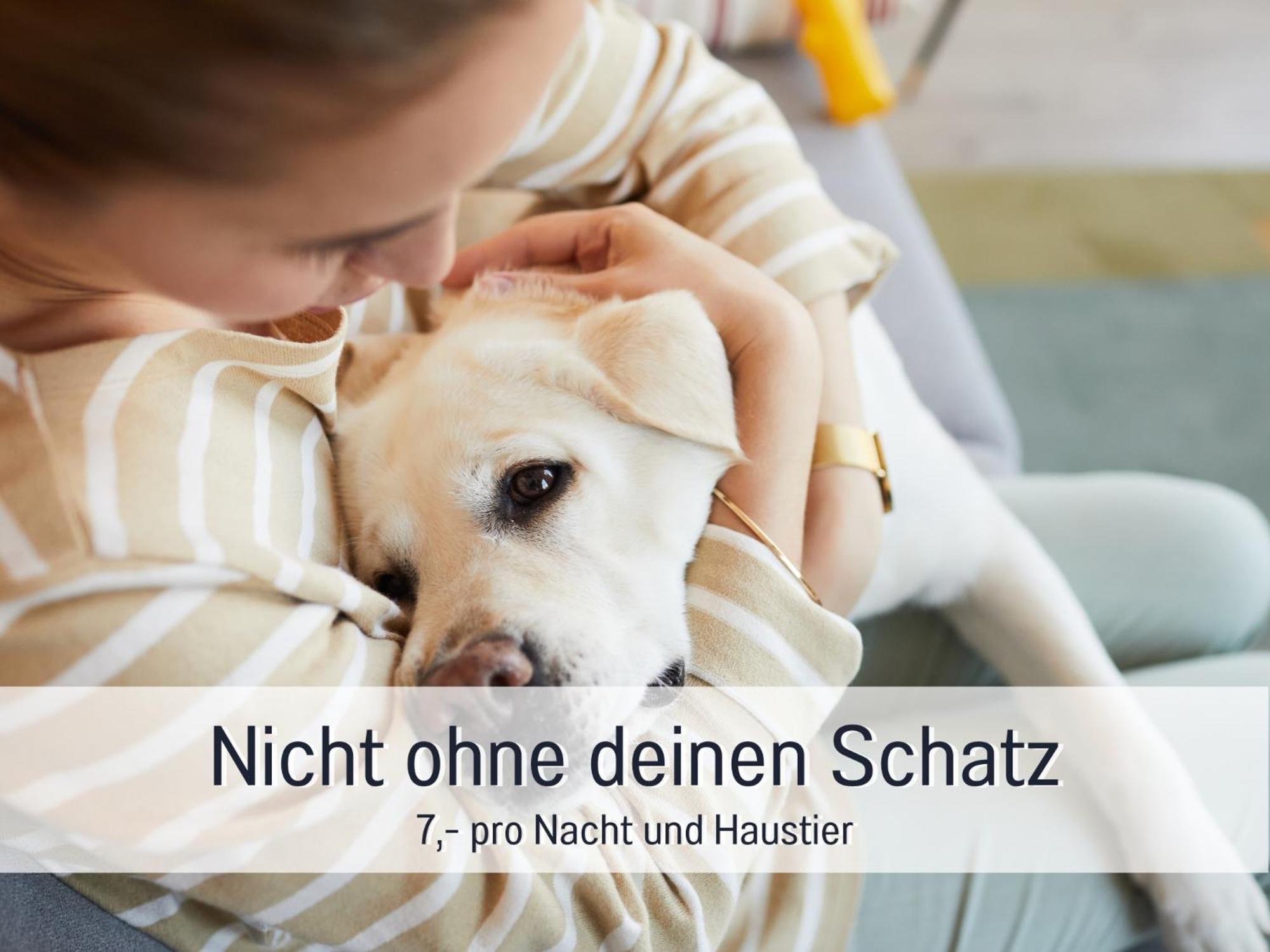 Ferienloft Sternenblick - Strandnah, Haustierfreundlich, Tolle Kueche, Optimal Fuer Workation, 4 Personen Steinberg  Bagian luar foto