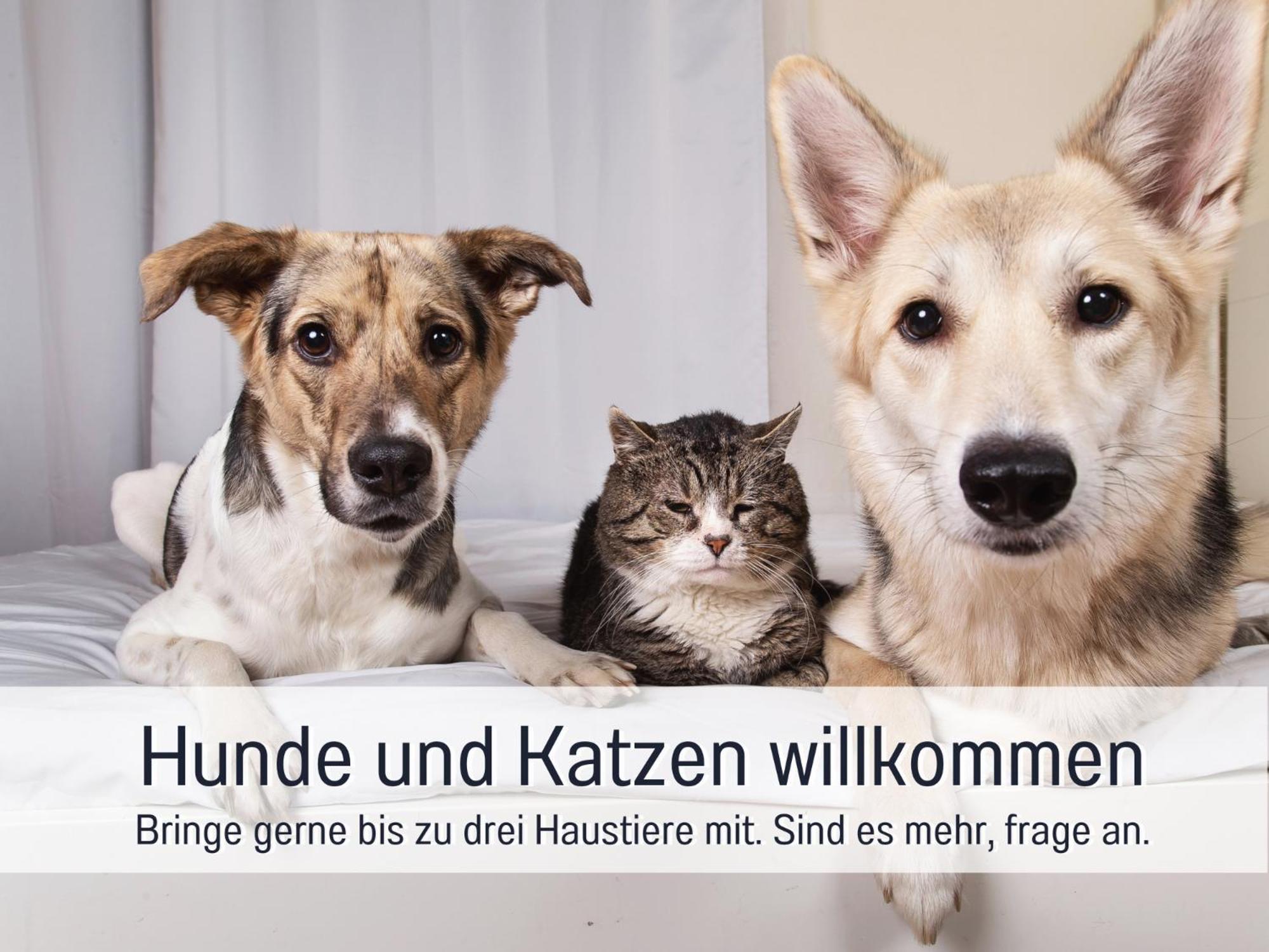 Ferienloft Sternenblick - Strandnah, Haustierfreundlich, Tolle Kueche, Optimal Fuer Workation, 4 Personen Steinberg  Bagian luar foto