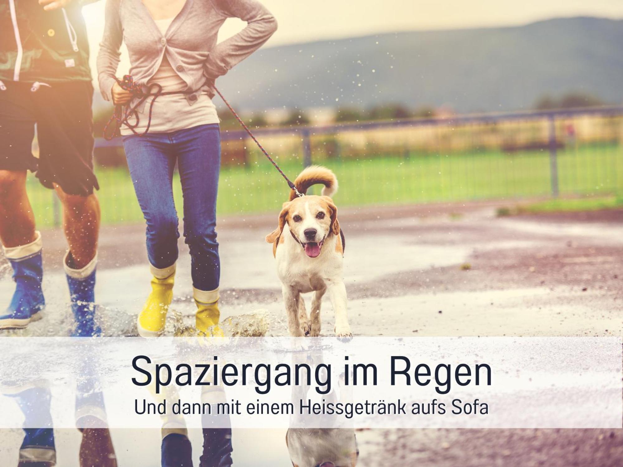 Ferienloft Sternenblick - Strandnah, Haustierfreundlich, Tolle Kueche, Optimal Fuer Workation, 4 Personen Steinberg  Bagian luar foto