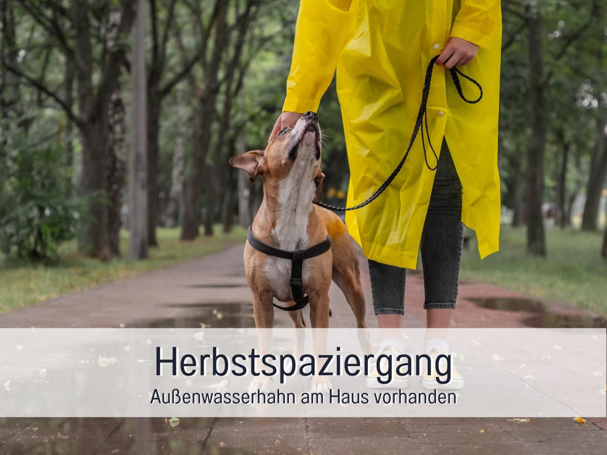 Ferienloft Sternenblick - Strandnah, Haustierfreundlich, Tolle Kueche, Optimal Fuer Workation, 4 Personen Steinberg  Bagian luar foto
